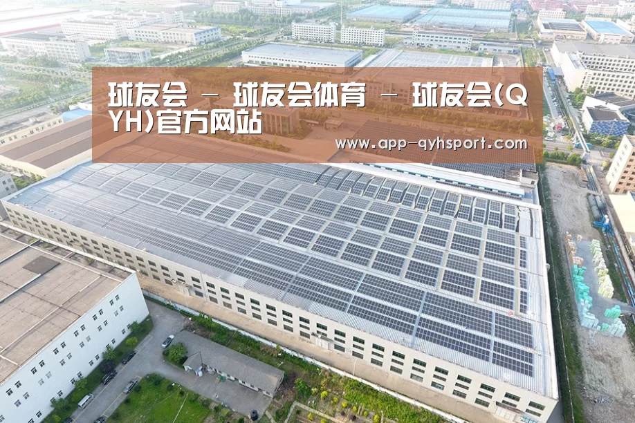 案例展示二
