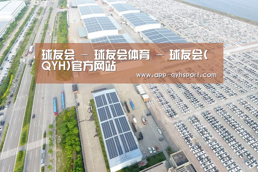 案例展示一